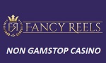 Fancy Reels New Casino